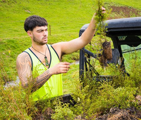 A picture of a man in a high vis shirt holding a shrub