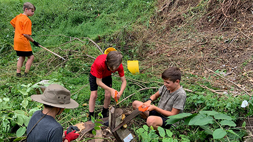 Group of intermediate school kids planting
