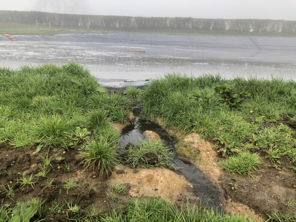 Effluent overflowing from full effluent pond. 