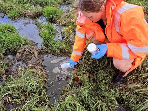 Woman wearing orange hi-viz and blue gloves crouching in a paddock, collecting a water sample from a puddle.