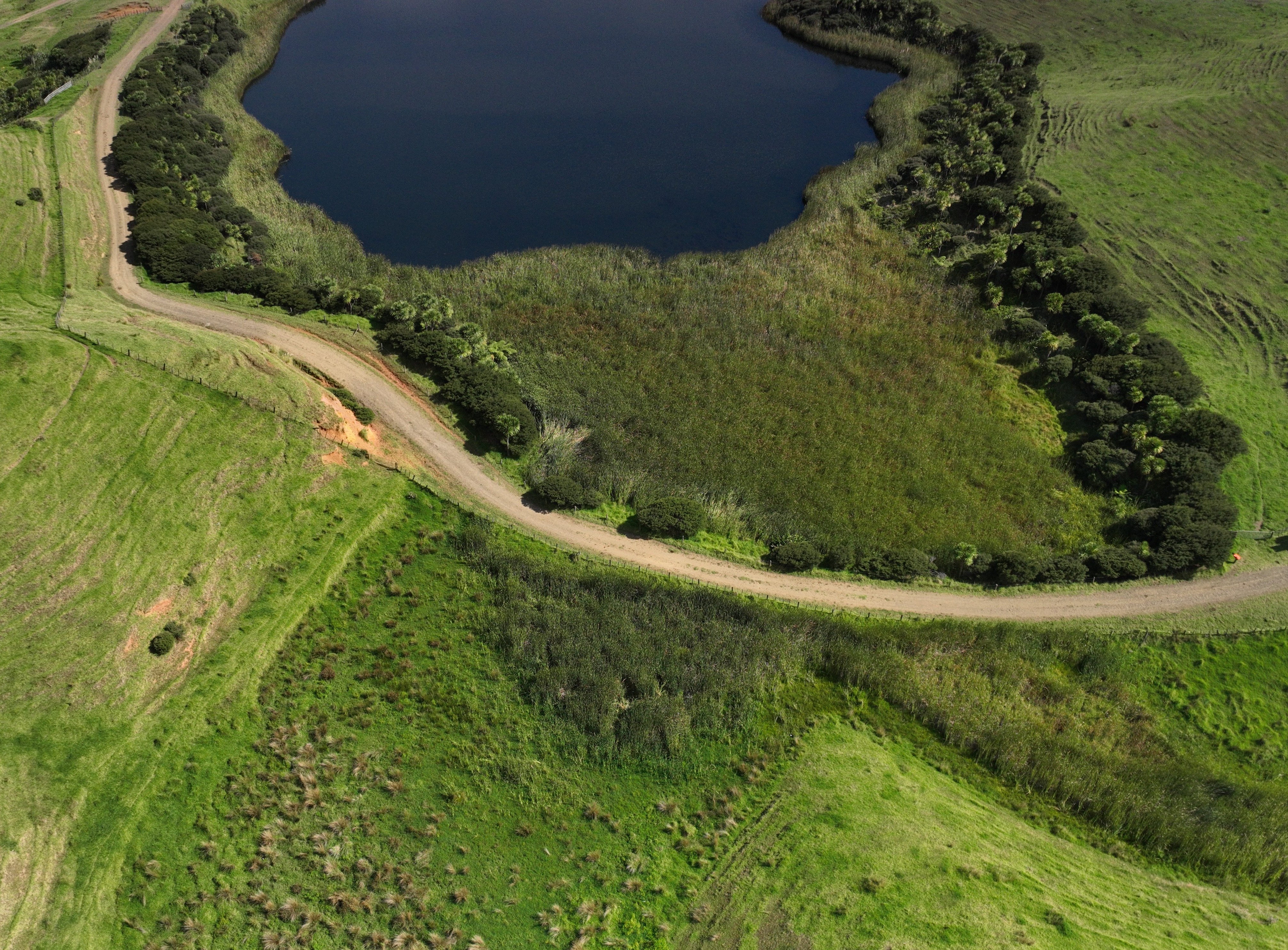 Aerial drone view of a small lake surrounded by wetland vegetation and farmland