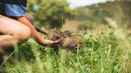 Waikato Regional Council staff holding soil sample